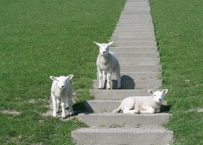 Marianne Nyaraló Tossens